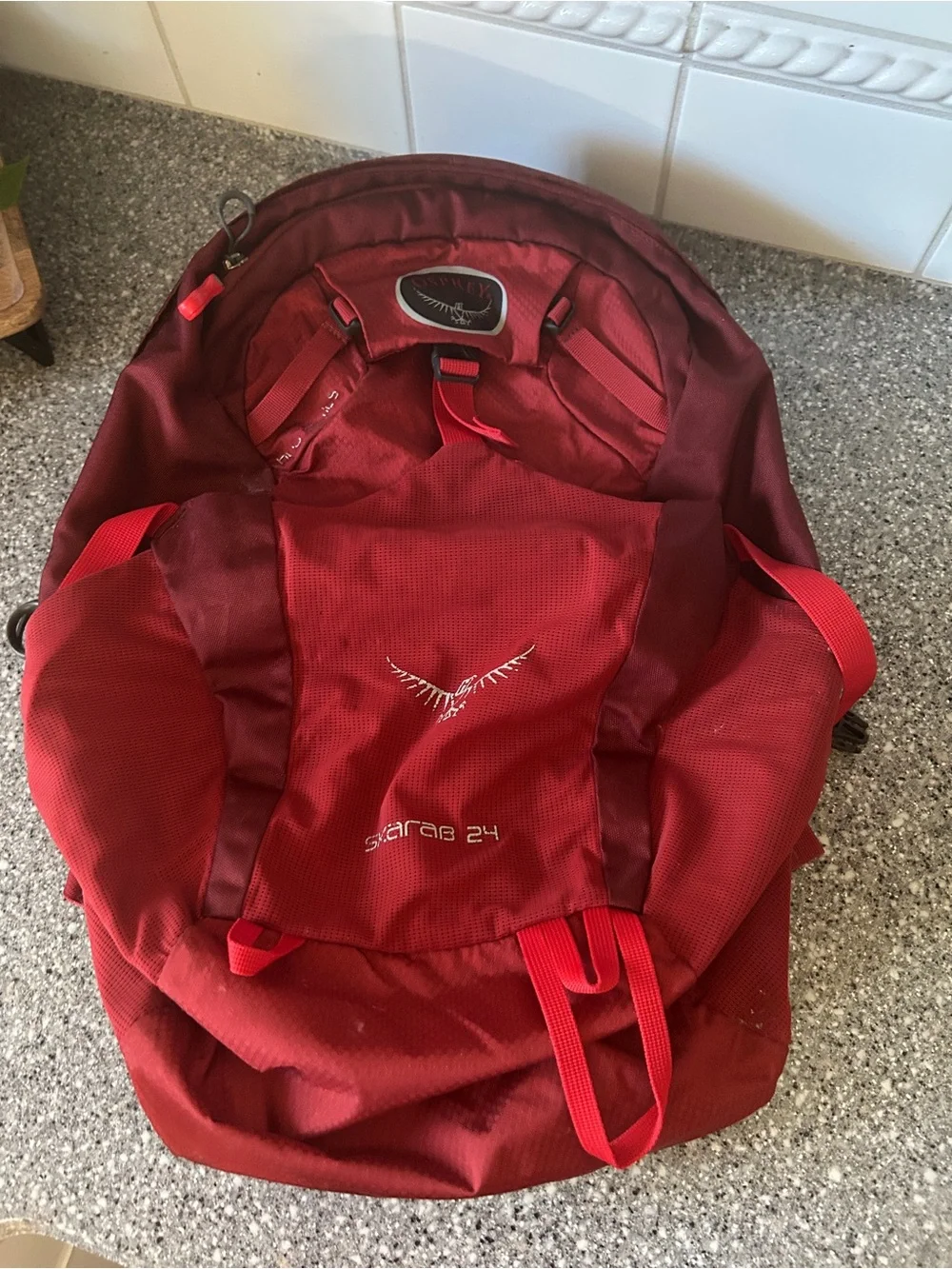 OSPREY Red Skarab 24 Men's Backpack